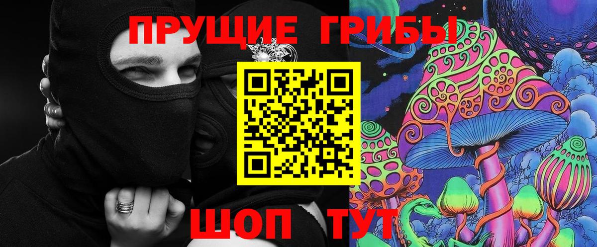 Рубцовск  Галлюциногенные грибы Psilocybine cubensis  Вход с VPN 