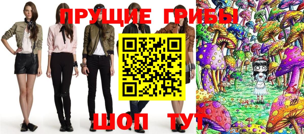 LSD-25 Рубцовск