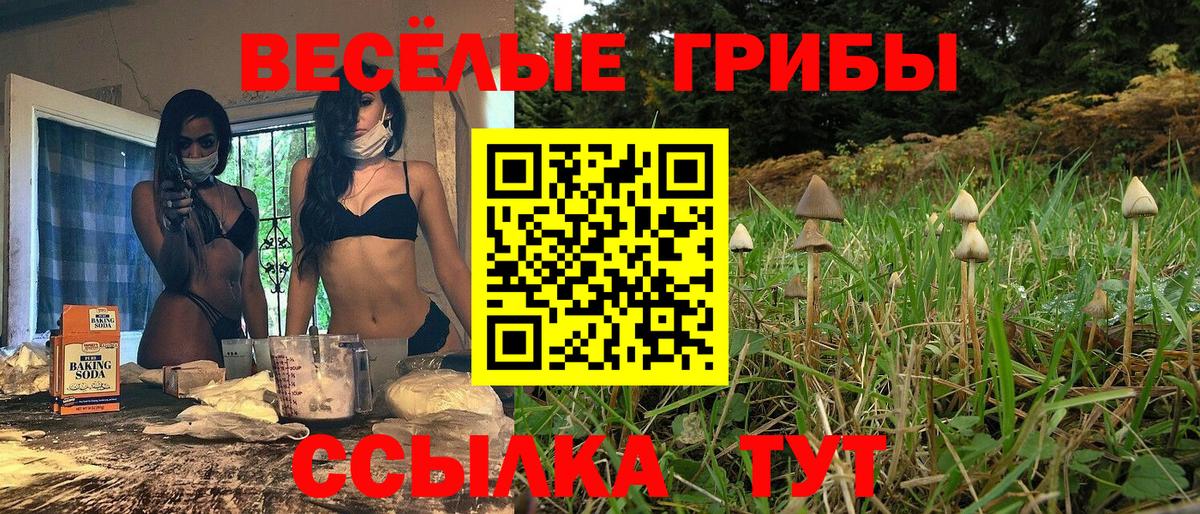 Галлюциногенные грибы прущие грибы Рубцовск